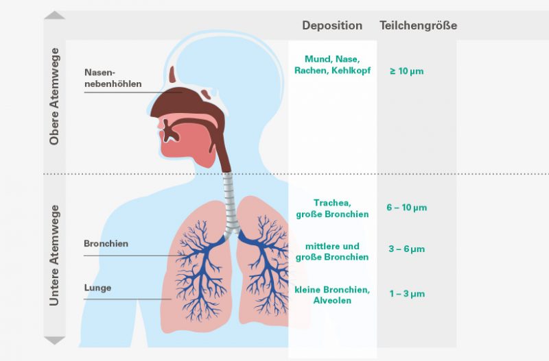 Hilft inhalieren wirklich? Warum inhalieren? - Inhalation.de